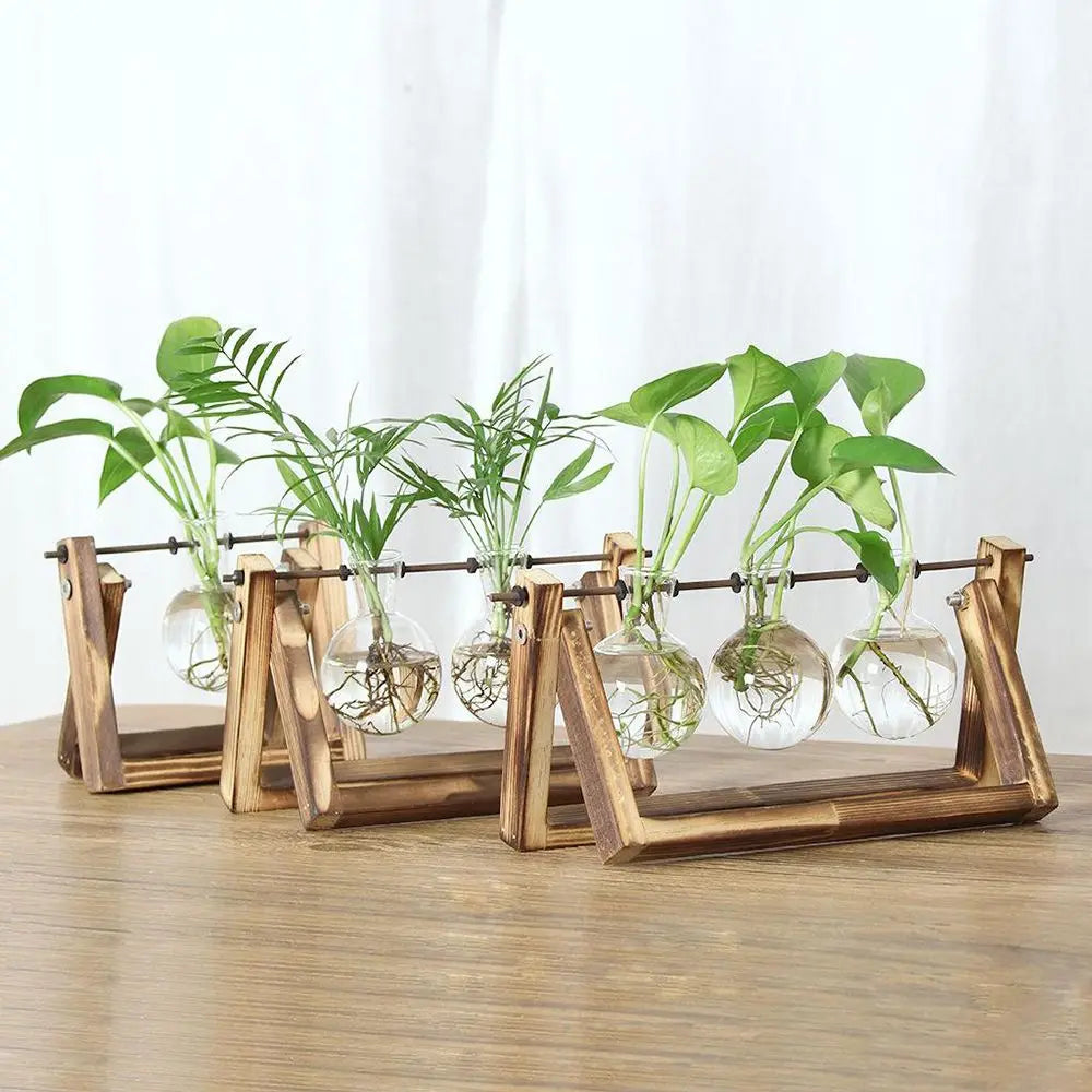 Hydroponic Plant Vases Glass