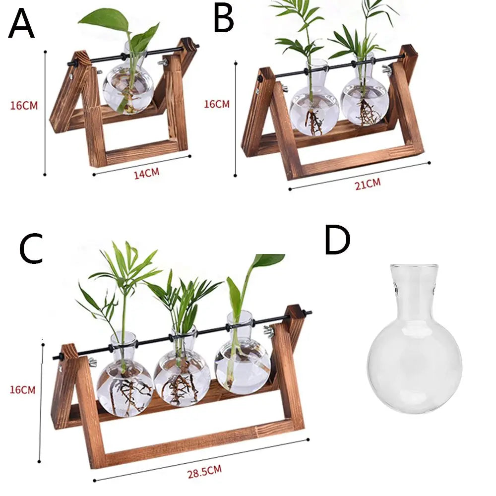 Hydroponic Plant Vases Glass