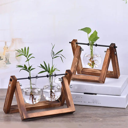 Hydroponic Plant Vases Glass