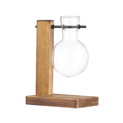 Hydroponic Plant Vases Glass